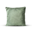 Light Green Velvet Pillow Cover - OJUANS